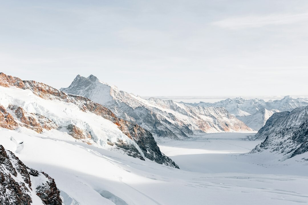 swiss mountains business